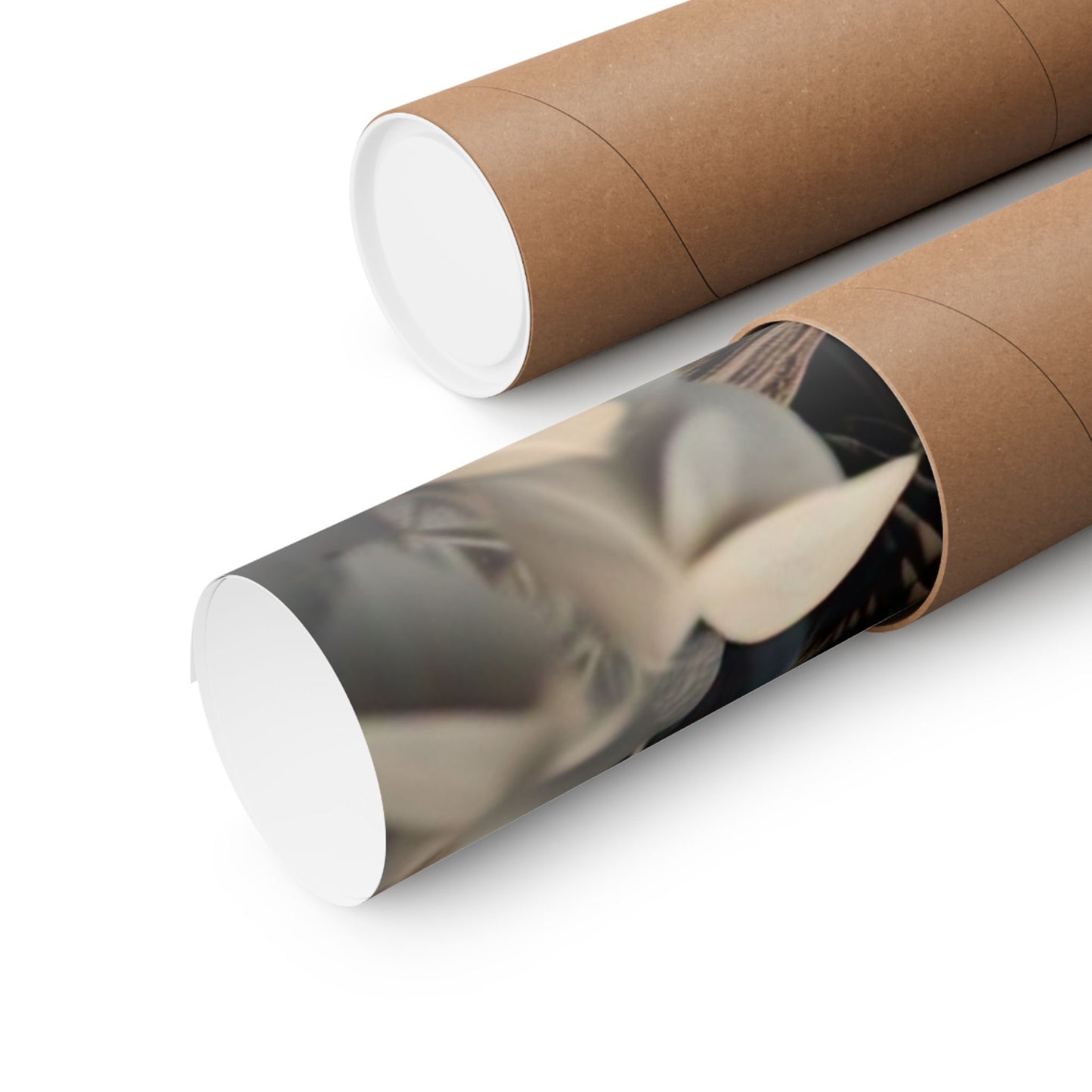 Majestic Owl Matte Vertical Poster - Nature Wall Art for Home Decor