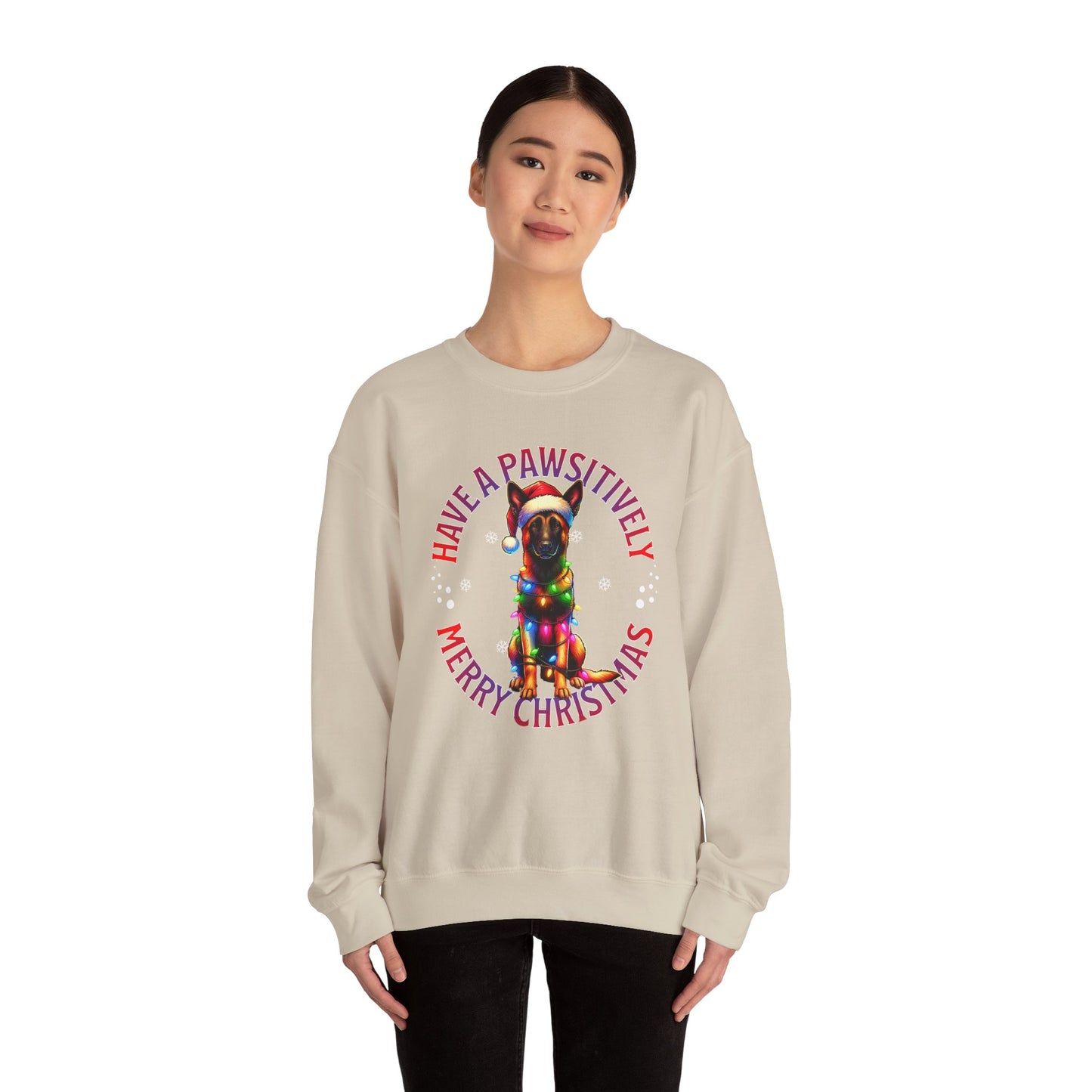 Christmas Dachshund Sweatshirt - "Have a Pawsitively Merry Christmas" Cute Holiday Dog Crewneck