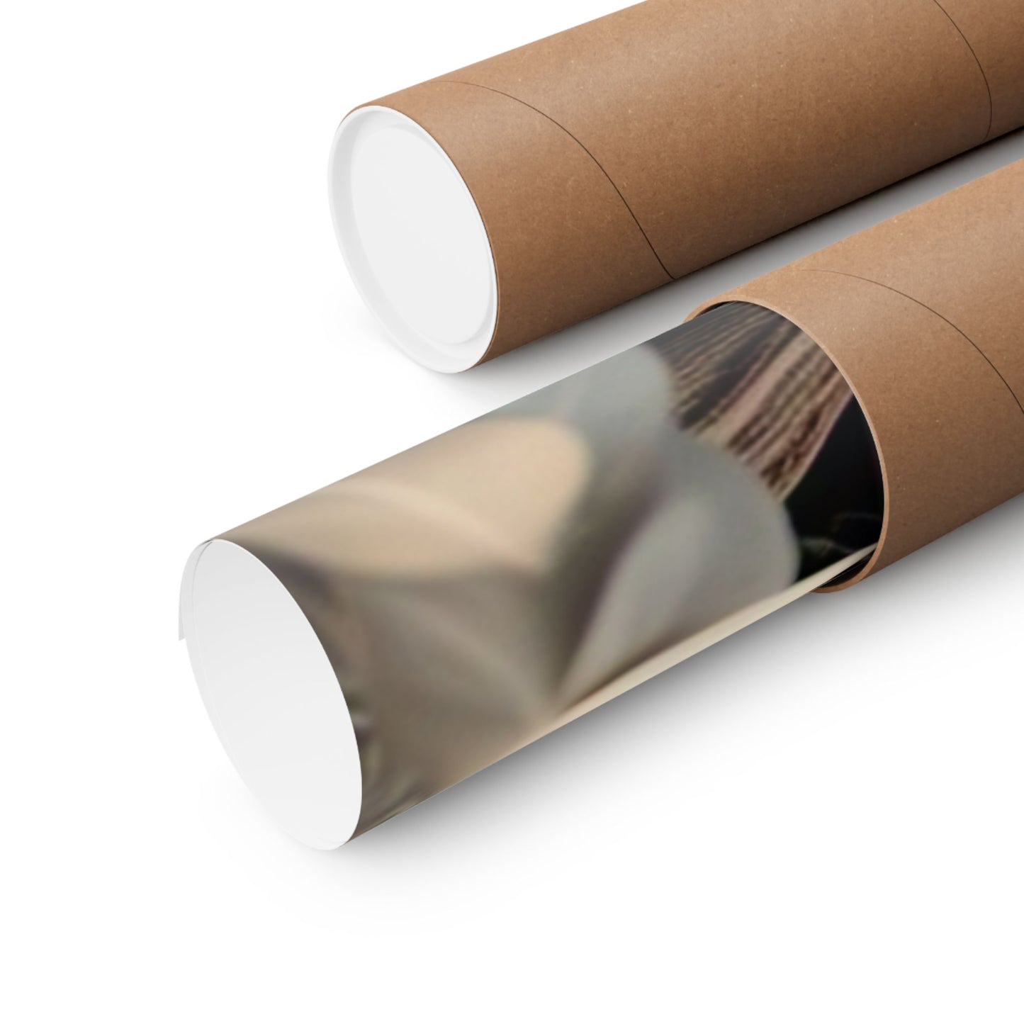 Majestic Owl Matte Vertical Poster - Nature Wall Art for Home Decor